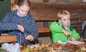 Herbstferien-Aktion auf dem Tuppenhof Foto: (c) Klaus Stevens